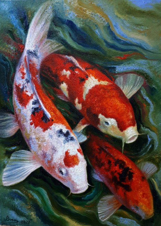 Koi fish