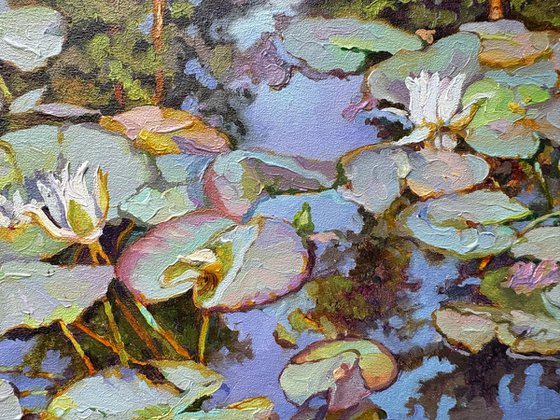 Summer pond.