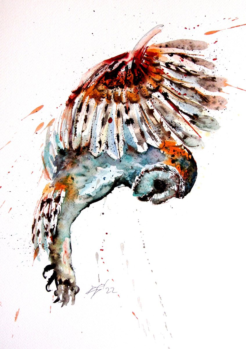 Impressionistic Animal Watercolour By Kovacs Anna Brigitta, 11 X 15", Flying Barn Owl, Original Artwork