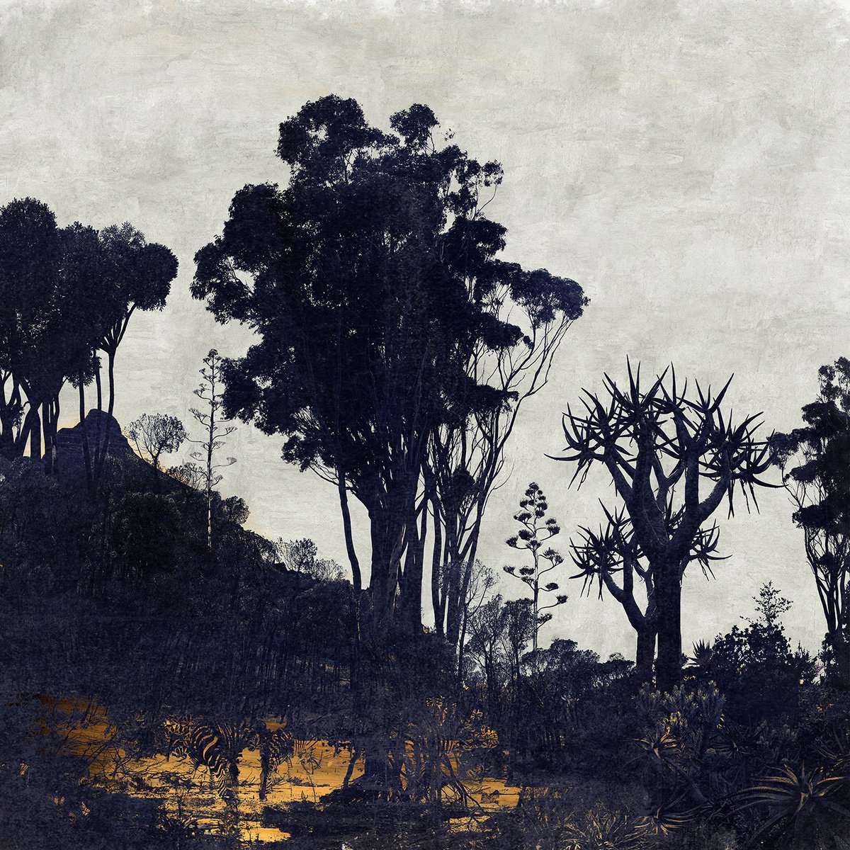 Impressionistic Landscape Photograph By Nadia Attura, 20 X 20", Western Cape, Original Artwork