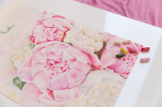 Pink Peony Flowers