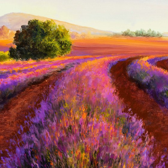 'A summer in Provence'