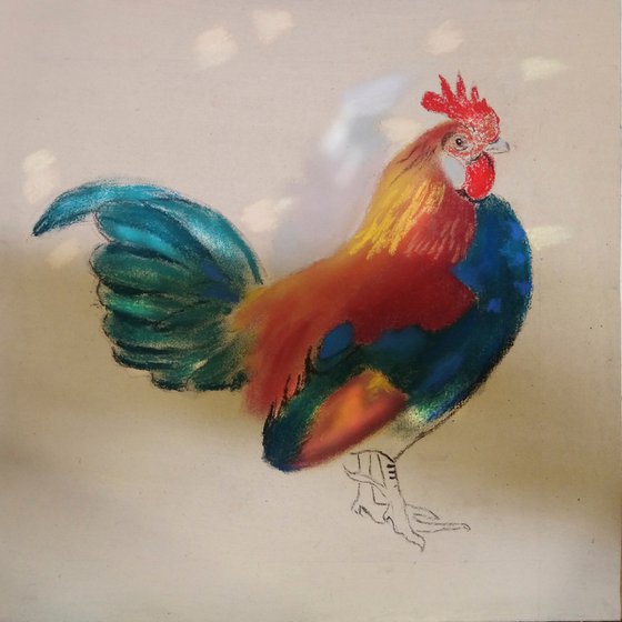 Rooster. Bright, beautiful bird, a gift for him