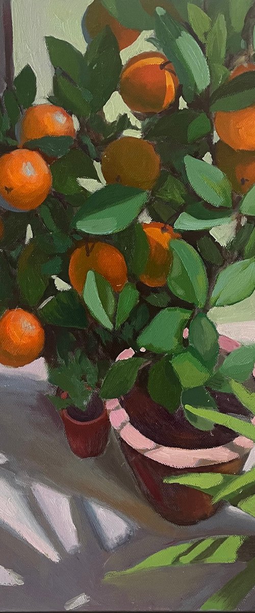 Tangerine tree by Anna Bogushevskaya