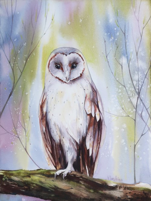 Owl bird by Alla Vlaskina