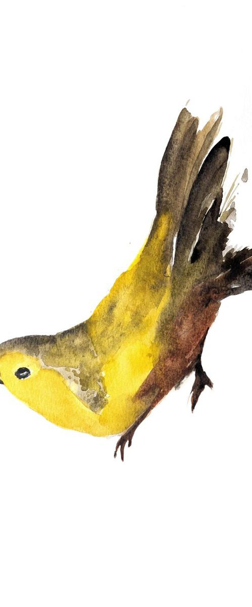 Bird by Nadia Moniatis
