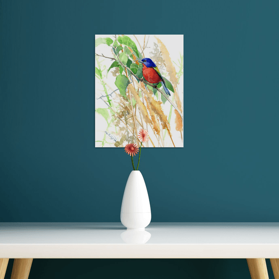 Painted Bunting Bird