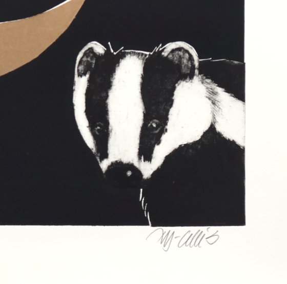 Midnight Badger