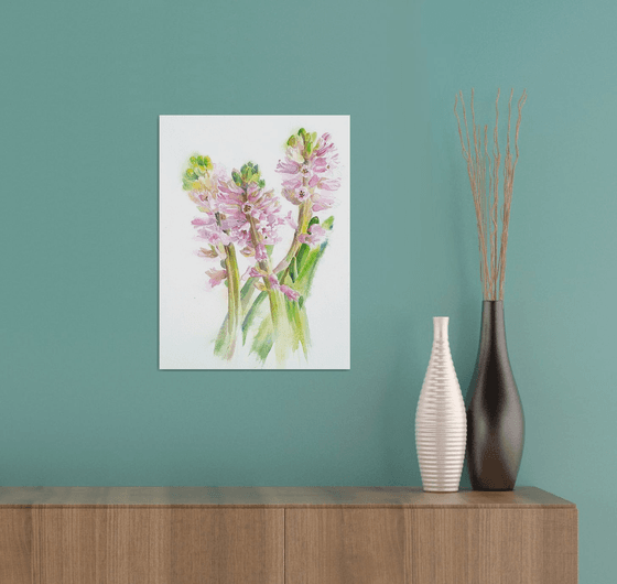 Lush Pink Hyacinths – Botanical Watercolor