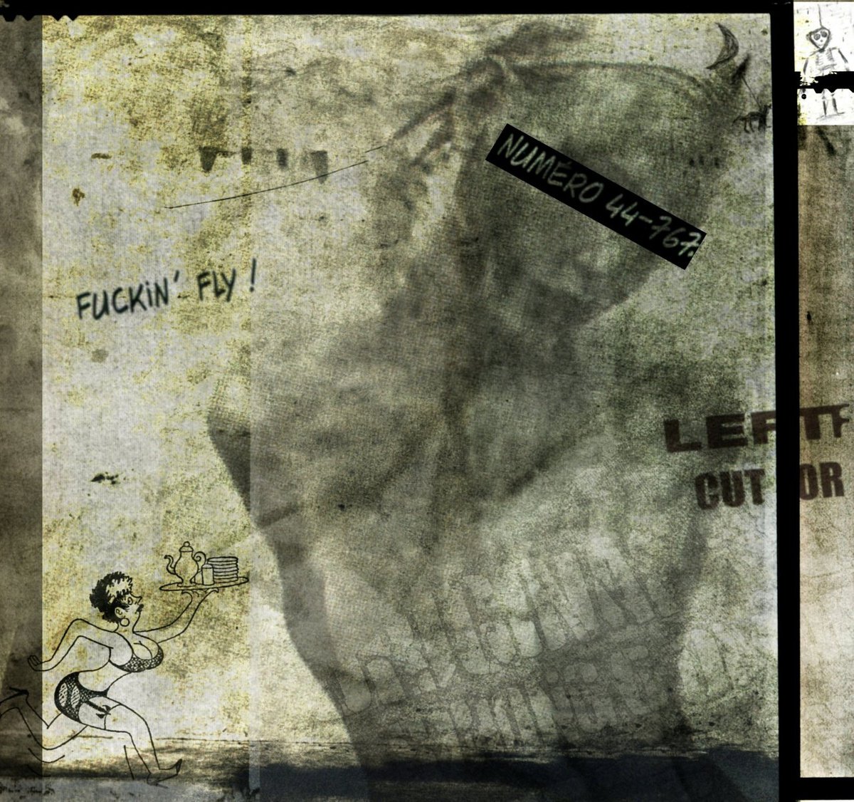 Fuckin Fly... by Philippe berthier