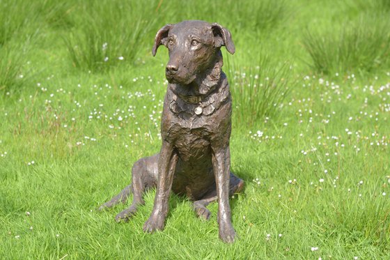 "Maggie" Sitting Lab 2 BR