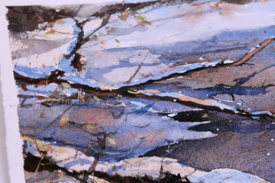 The Stream in the forest