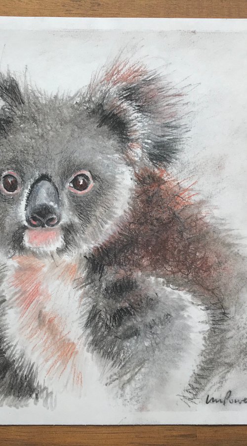 Charcoal Koala #05 by Luci Power