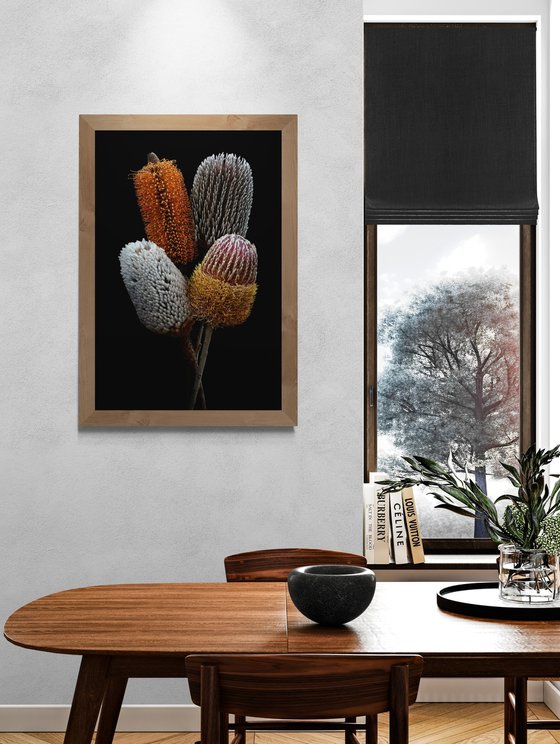 Banksia Bundle