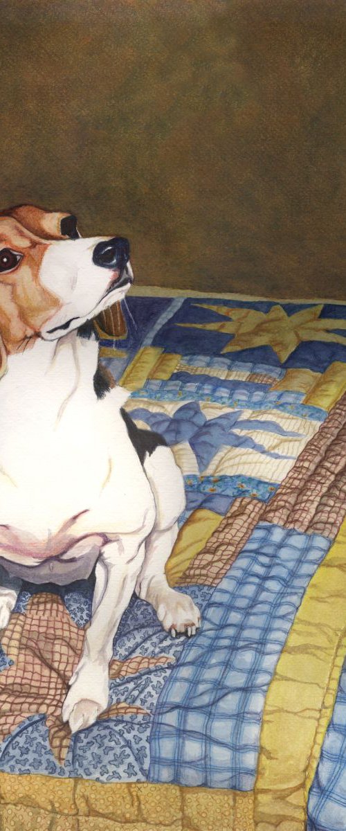 Beagle on a Patchwork Quilt by Paige Wallis
