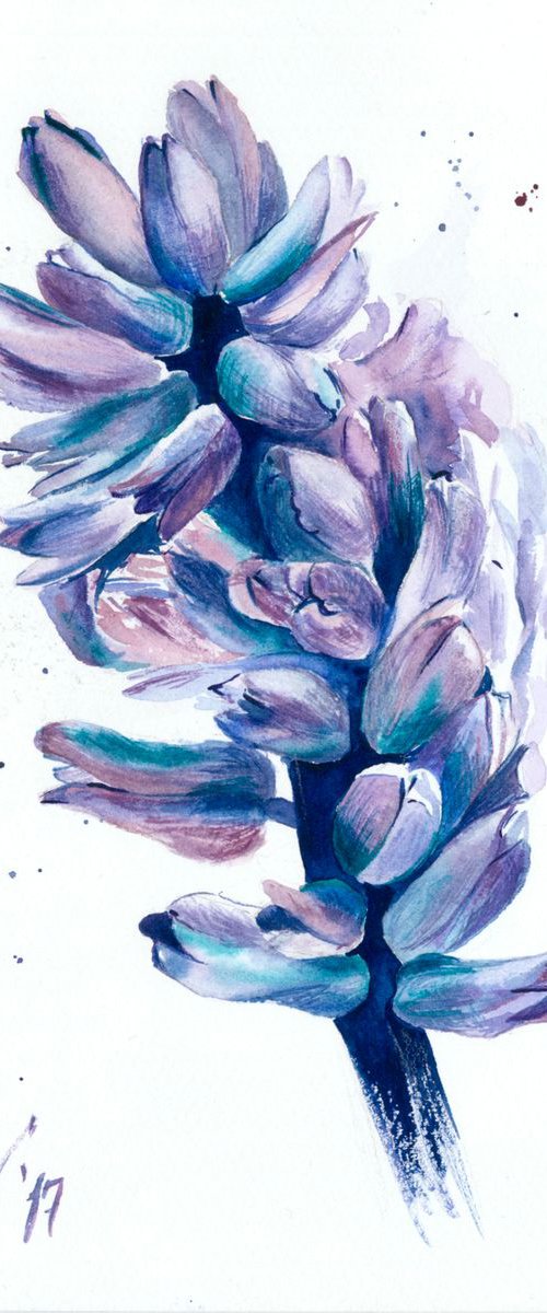 Purple Hyacinth by Sasha Romm