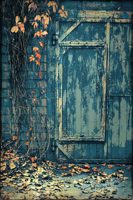 Cellar door. Autumn on the threshold.