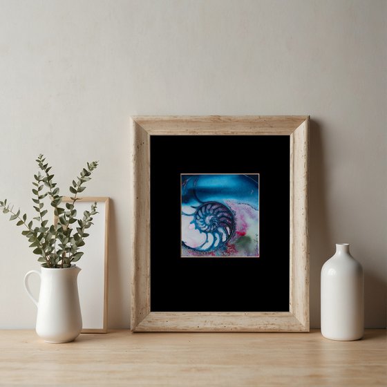 Nautilus Shell 70