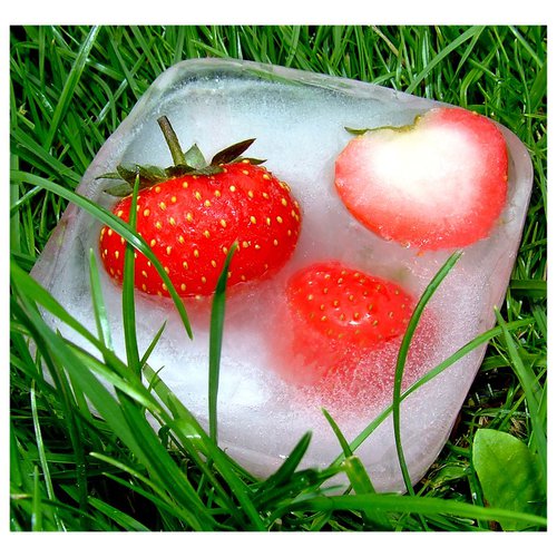 FROZEN STRAWBERRIES  (Limited edition  1/200) 8"X8" by Laura Fitzpatrick