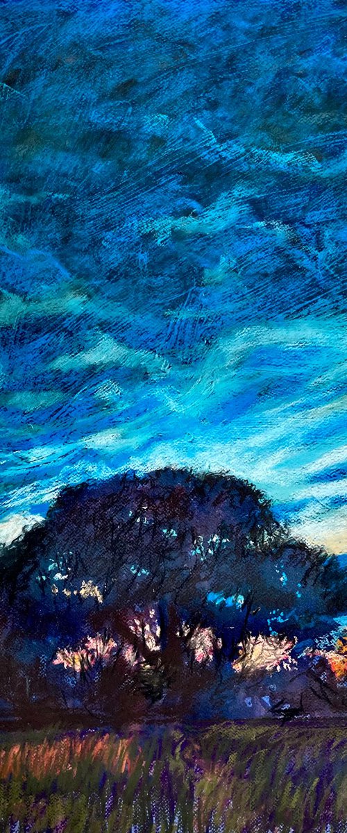 Tree at sunset by John Cottee