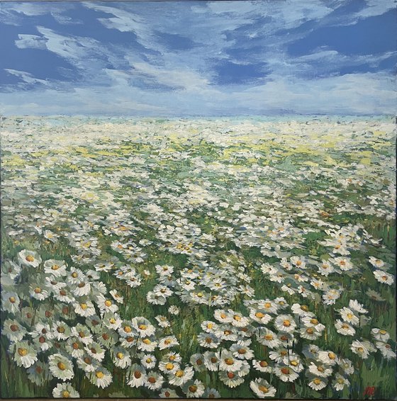 Ocean of Daisy