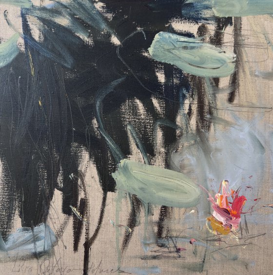 Water lilies