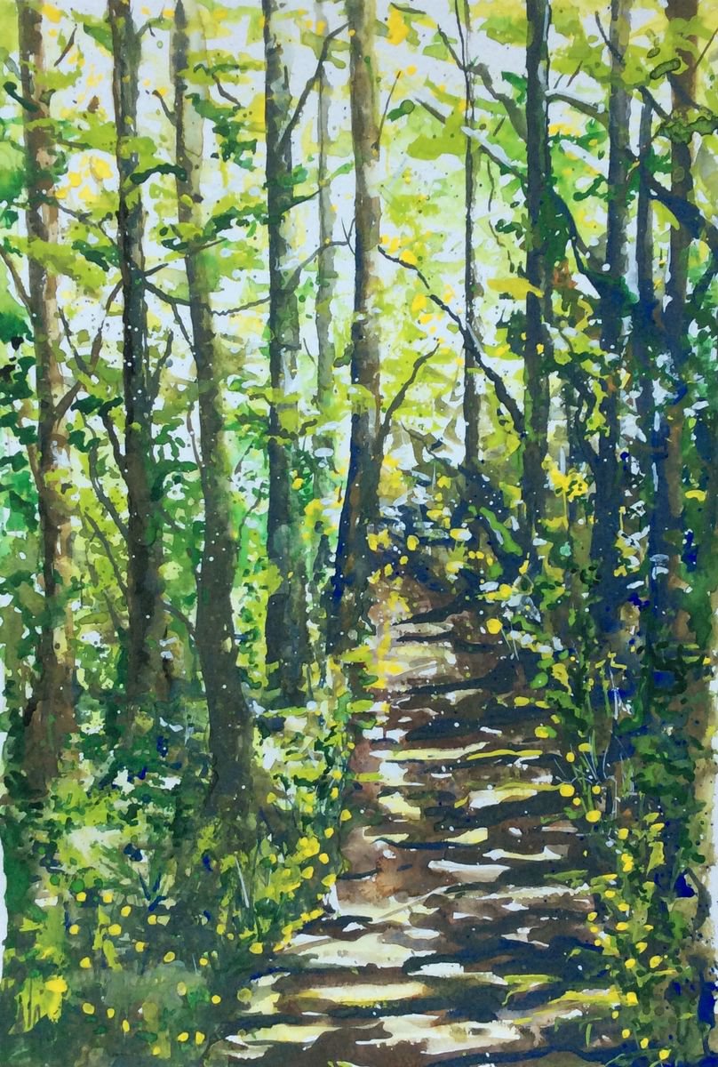 Dappled Path by Lucy Smerdon