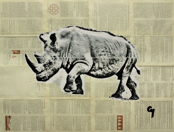Ordinary Rhino.