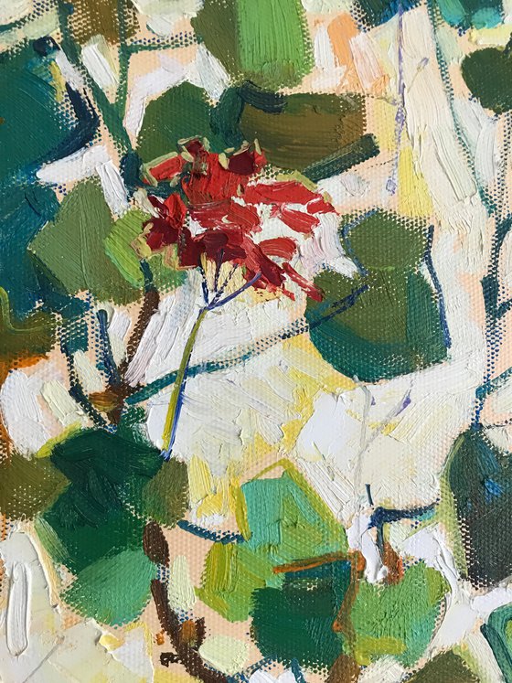 Flower in a pot
