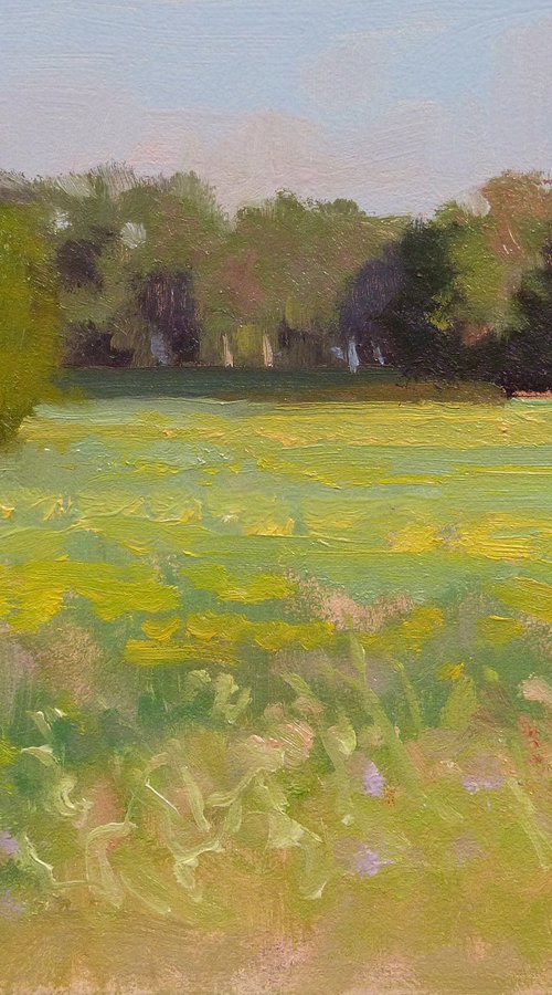 Meadow in Haute-Provence by Pascal Giroud