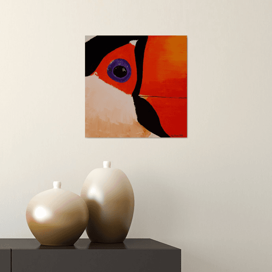 Toco Toucan