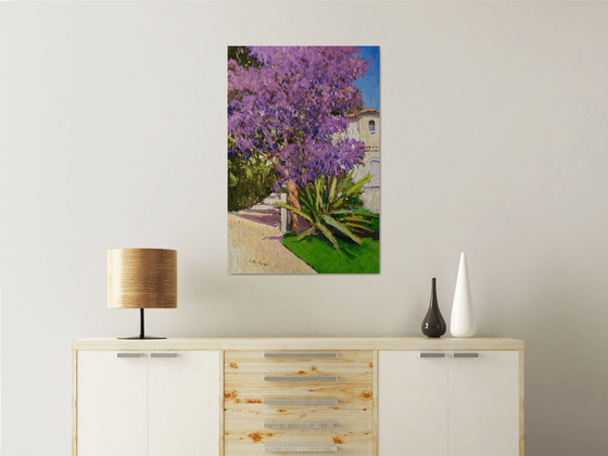 Jacaranda Tree