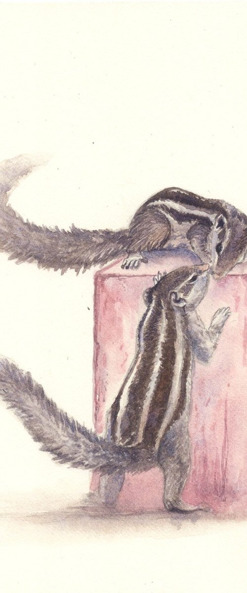 Indian Palm Squirrels in the garden by Shweta  Mahajan