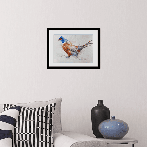 Run for it _Running Pheasant