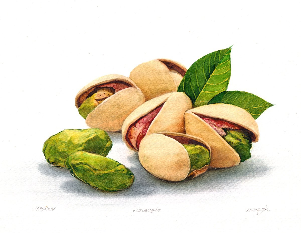 Photorealistic Still Life Watercolour By Reme Jr., 10 X 8", Pistachio, Original Artwork