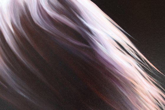 Beauty in the shadows