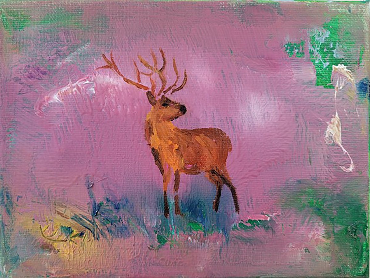 Deer at blue hour by Lisa Braun