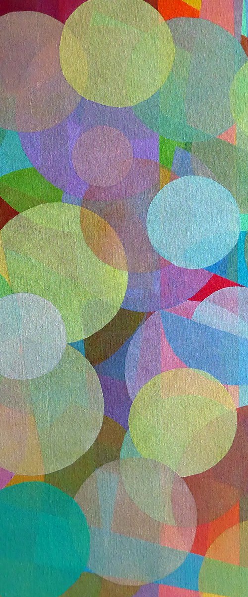 CIRCLES WITHIN CIRCLES by Stephen Conroy