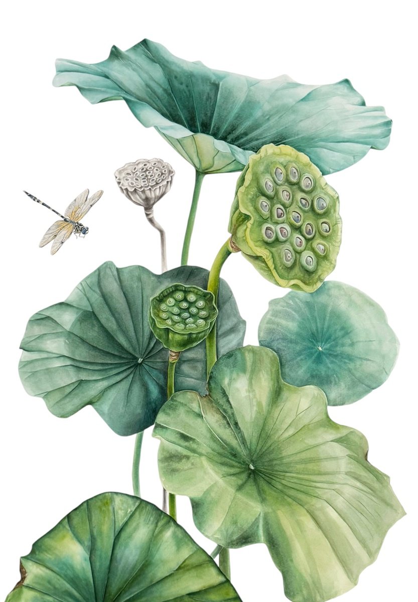 Impressionistic Botanical Watercolour By Julia Gorislavska, 22 X 30", Lotus In The Garden, Original Artwork