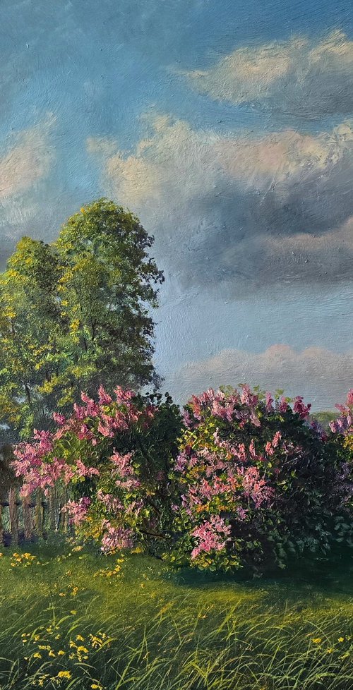 Spring Symphony by Vladimir Jarmolo