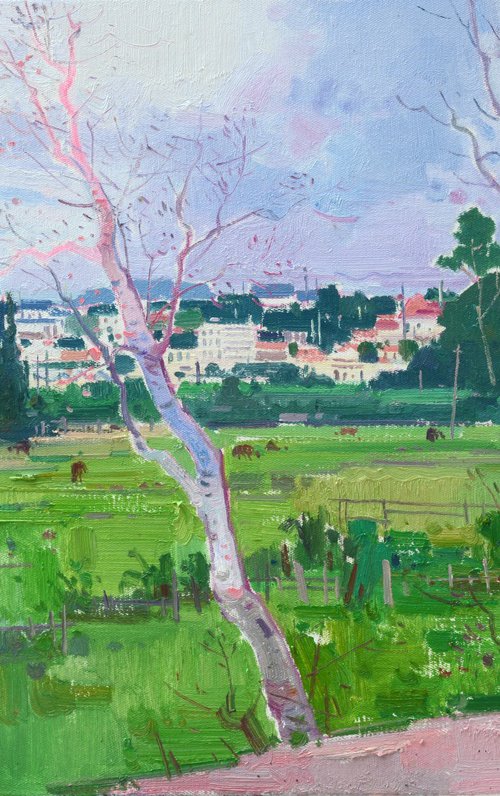 Summer in village 278 by jianzhe chon