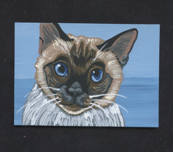 ACEO ATC Original Miniature Painting Siamese Cat Pet Feline Art-Carla Smale