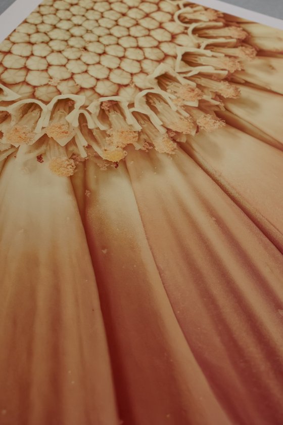 Beauty in the Piece of Beauty
