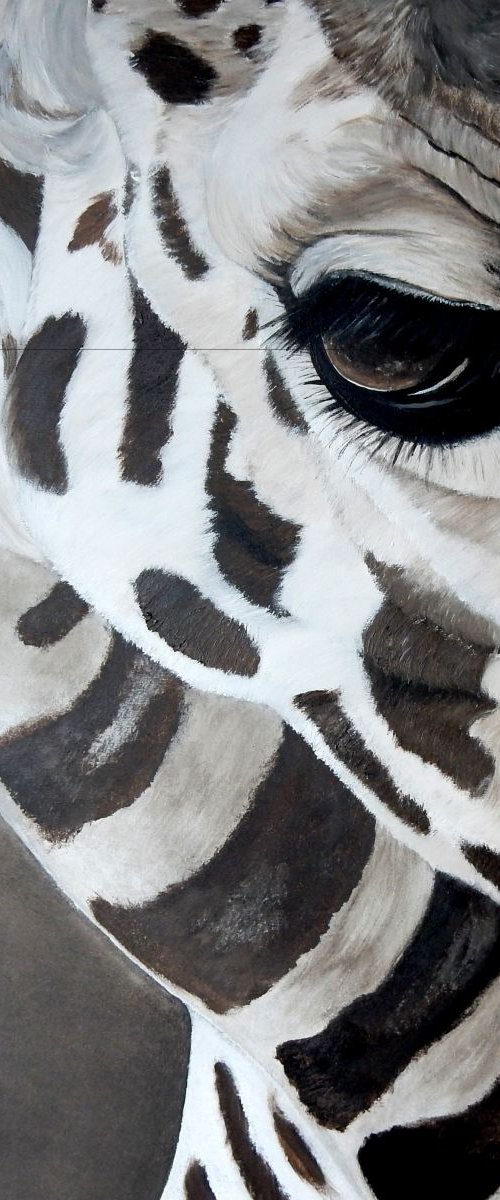 eye of giraffe by bente jepsen