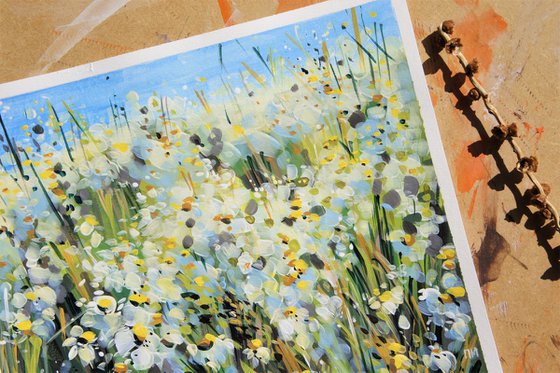 Daisies field and smell of summer