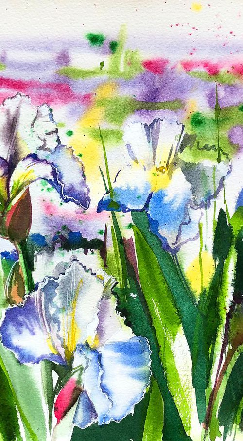 Irises from Vullierens by Ksenia Astakhova