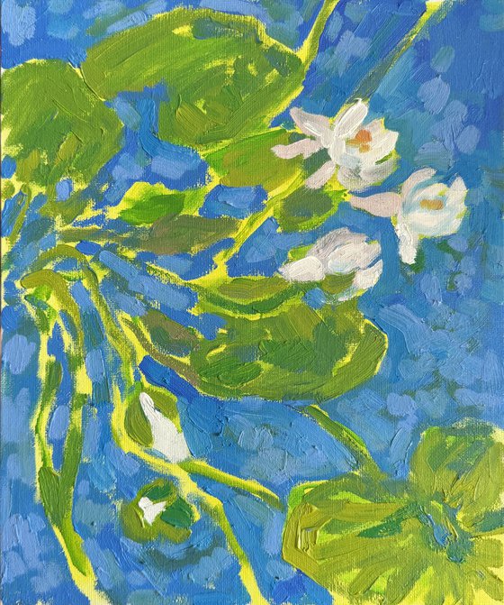 Water lilies