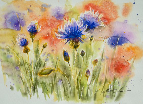 Red poppies and blue cornflowers (diptych)