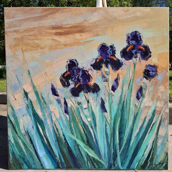 Dark Purple Irises   80x80cm