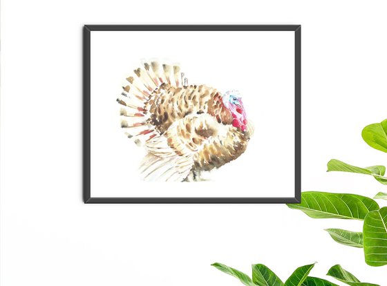 Turkey farm bird watercolor illustration